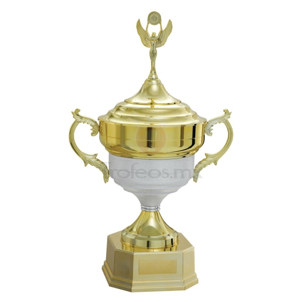 Trofeo Vencedor 700131