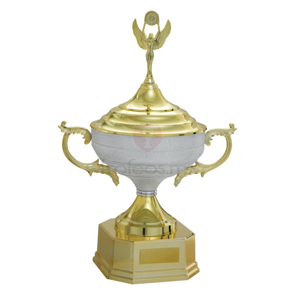 Trofeo Vencedor 700132