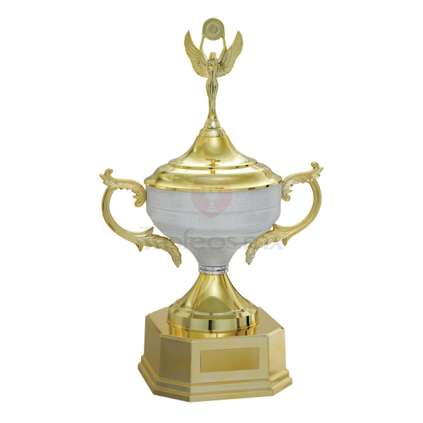 Trofeo Vencedor 700133