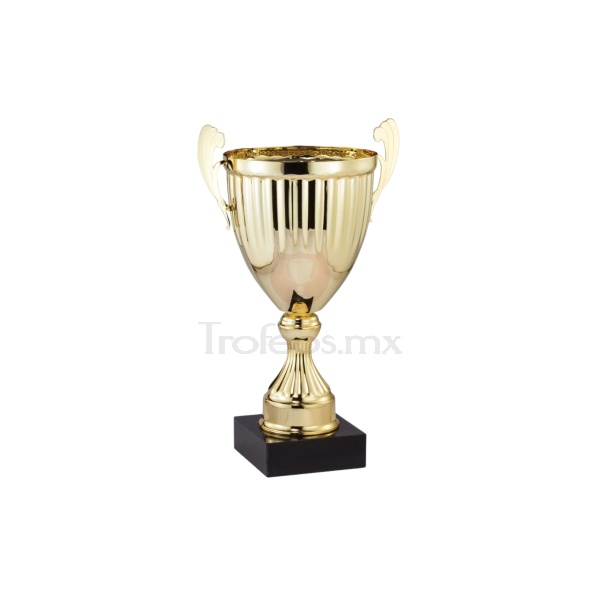 Copa AMC320