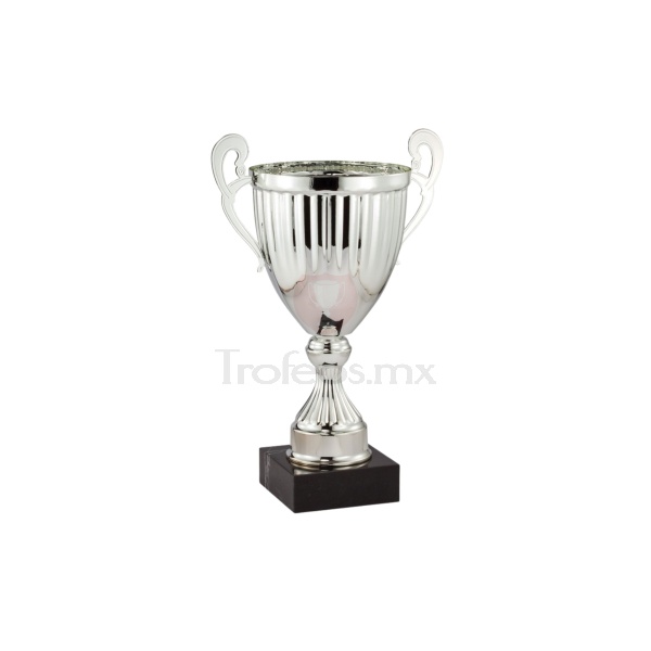 Copa AMC321