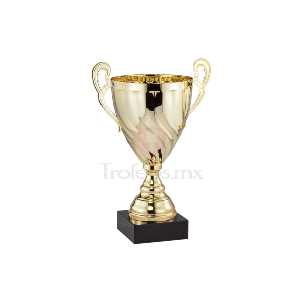 Copa AMC322
