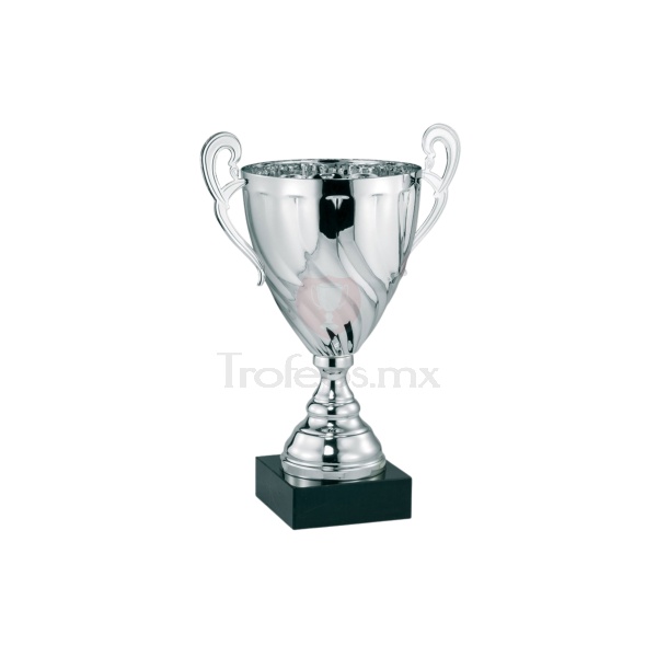 Copa AMC323
