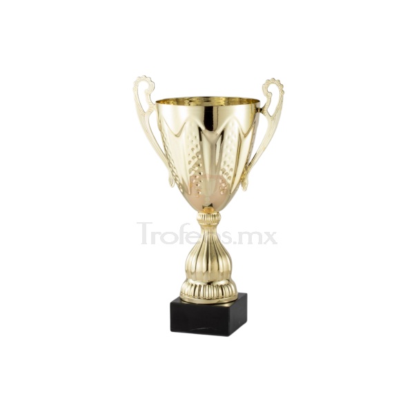 Copa AMC84