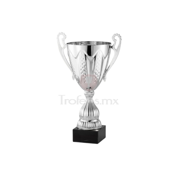 Copa AMC85