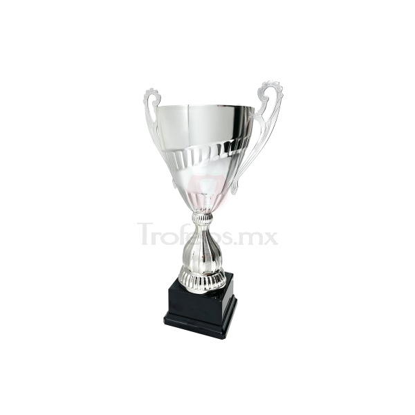 Copa Argelia