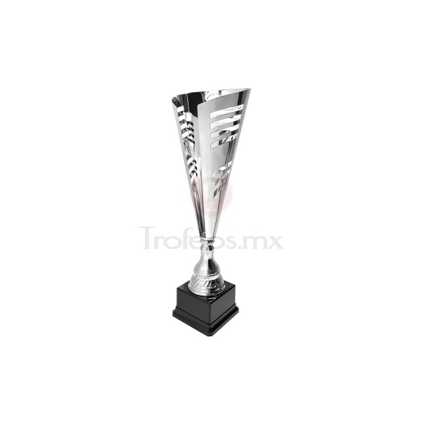 Copa Iron