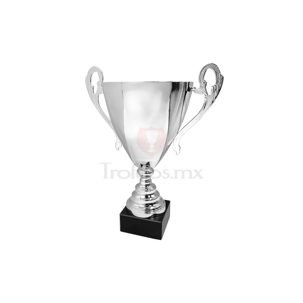 Copa Vigo